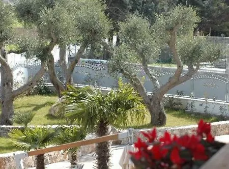 Hotel Tesoretto 4*